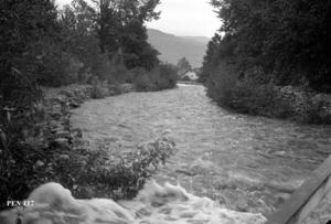 thumbnail of image