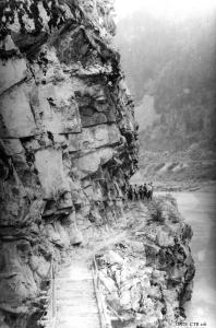 thumbnail of image