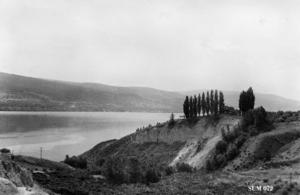 thumbnail of image