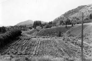 thumbnail of image