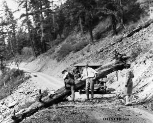 thumbnail of image