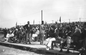 thumbnail of image