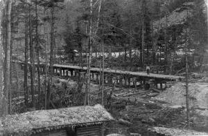 thumbnail of image