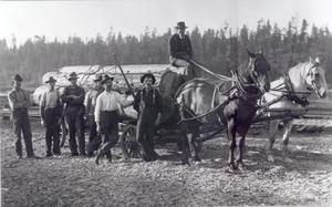 thumbnail of image