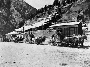 thumbnail of image