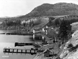 thumbnail of image